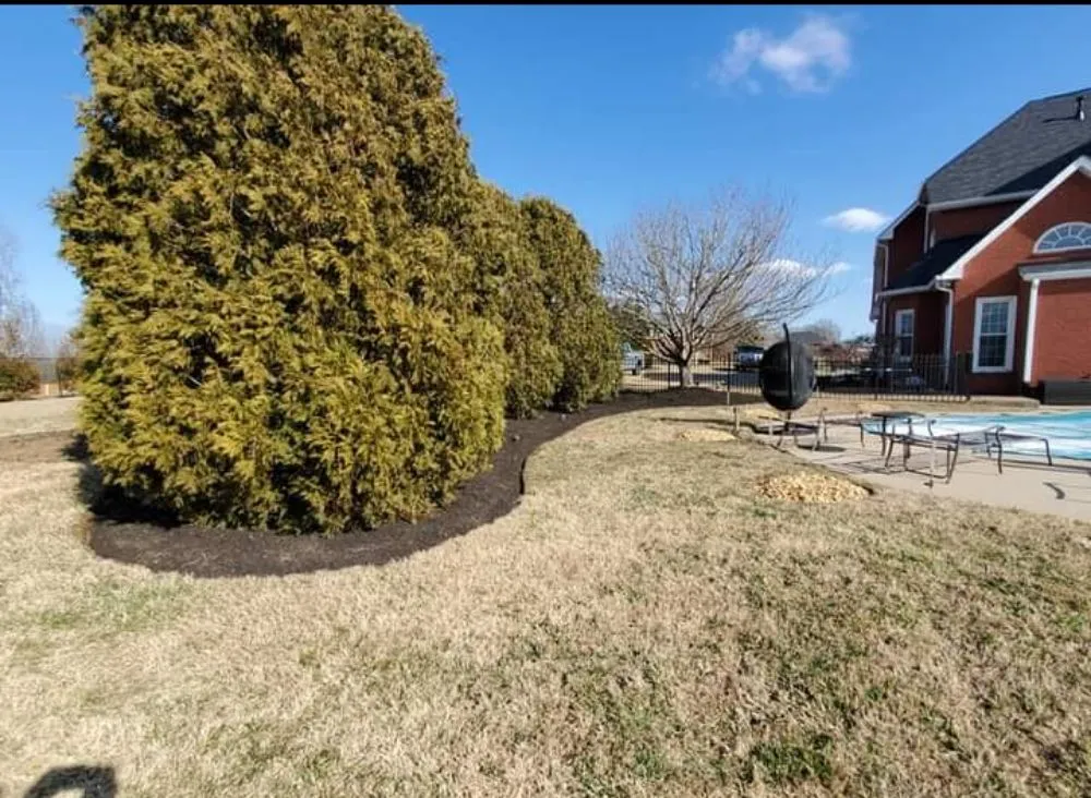 Custom yard maintenance experts serving Lebanon, TN - Martin Lawnscapes