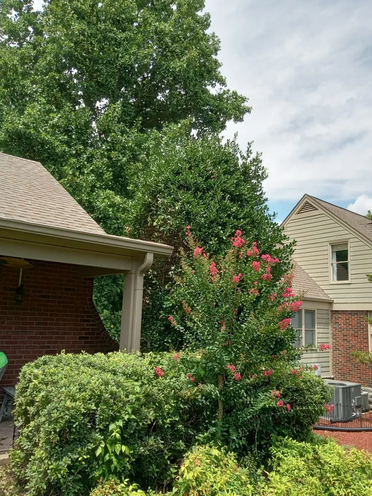 Affordable landscape design for year-round maintenance in Lebanon, TN by Martin Lawnscapes