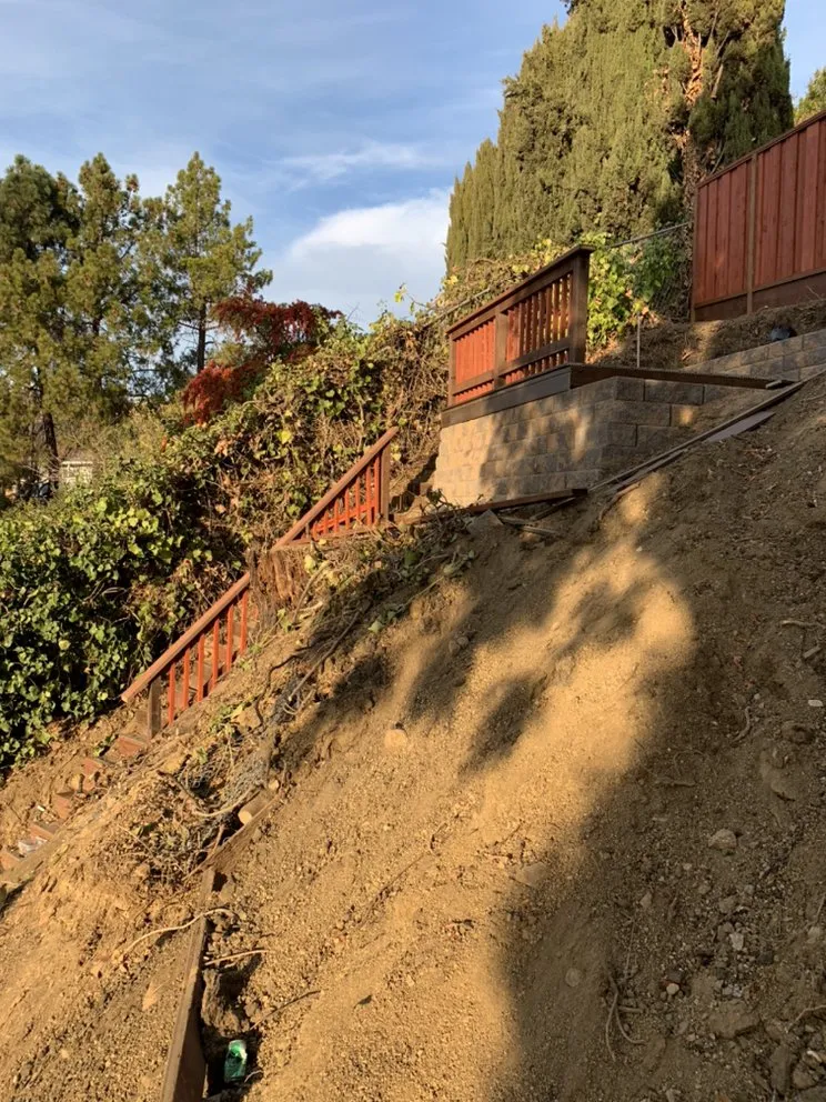 Expert yard cleanup service in San Mateo, CA - Martin Medina Landscaping and Gardening Services