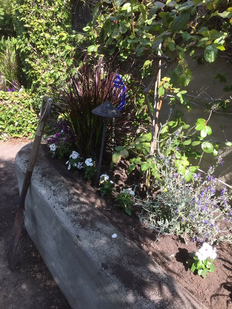 Top-rated landscape installation experts serving San Mateo, CA - Martin Medina Landscaping and Gardening Services