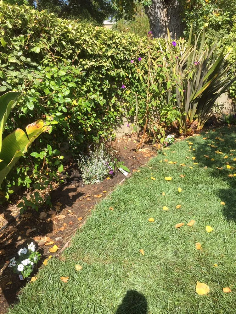 Trusted residential landscaping in San Mateo, CA - Martin Medina Landscaping and Gardening Services