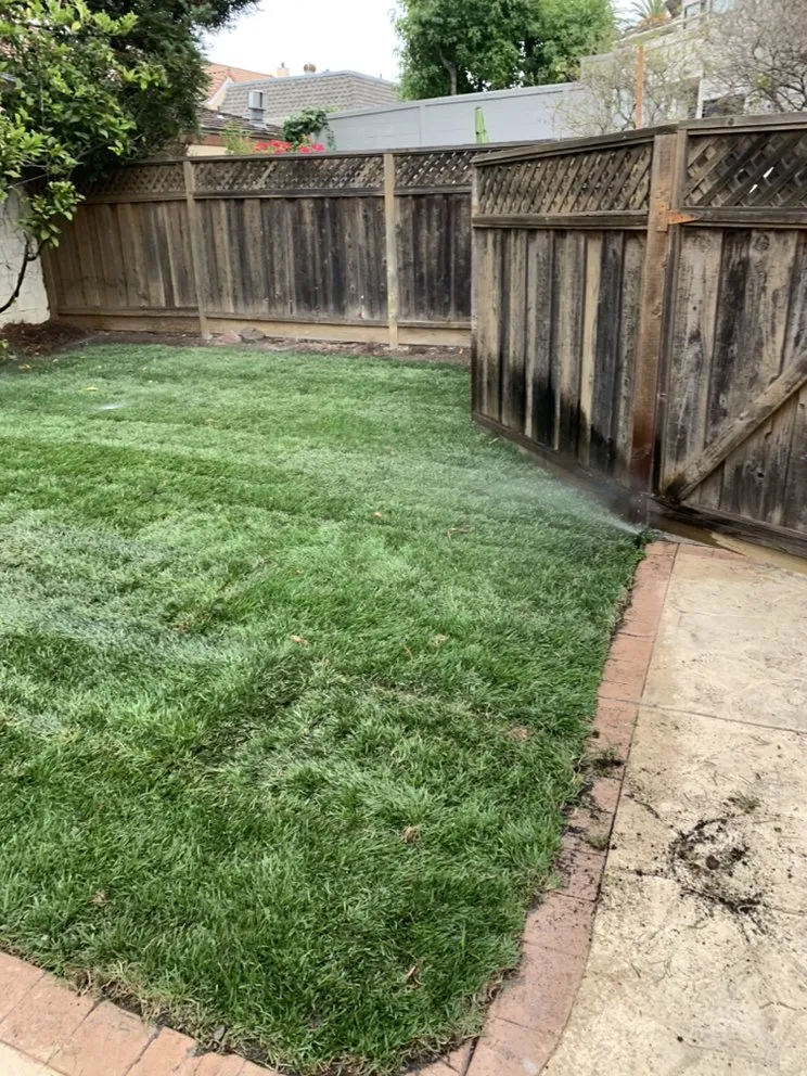 Custom garden landscaping for beautiful yards in San Mateo, CA by Martin Medina Landscaping and Gardening Services