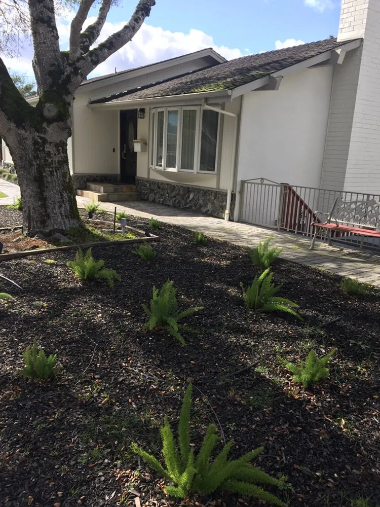 Trusted garden landscaping for homes across San Mateo, CA - Martin Medina Landscaping and Gardening Services