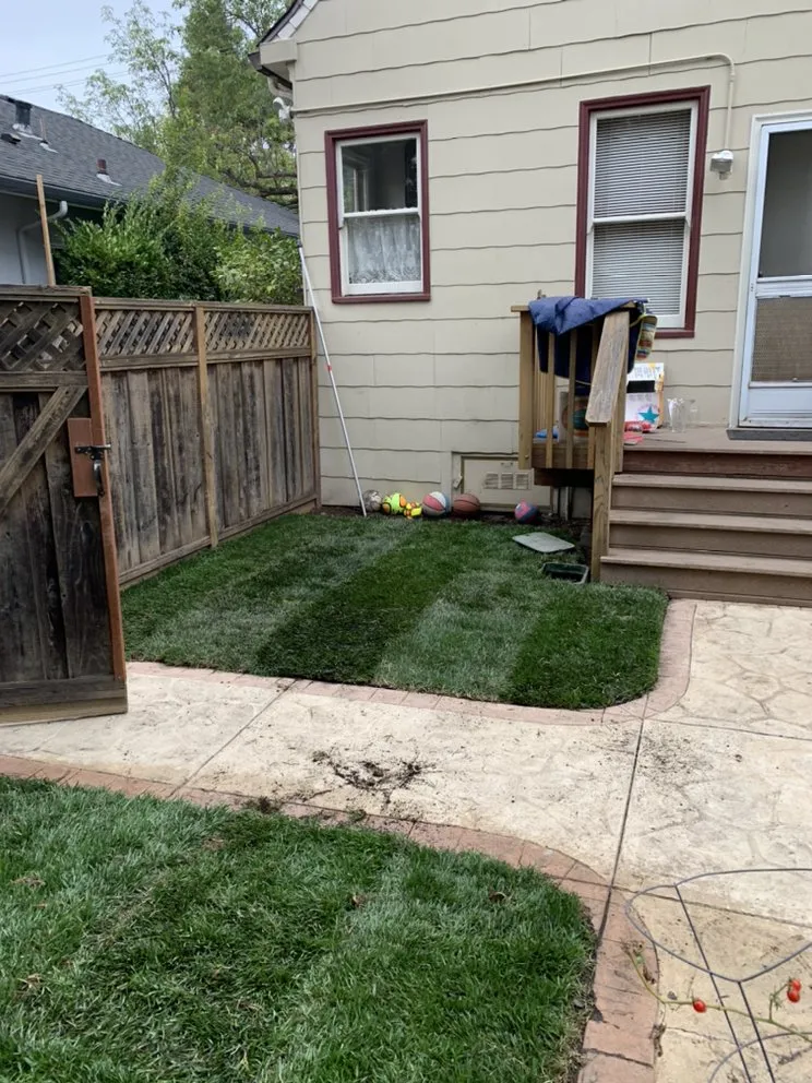 Reliable landscape design for beautiful yards across San Mateo, CA - Martin Medina Landscaping and Gardening Services