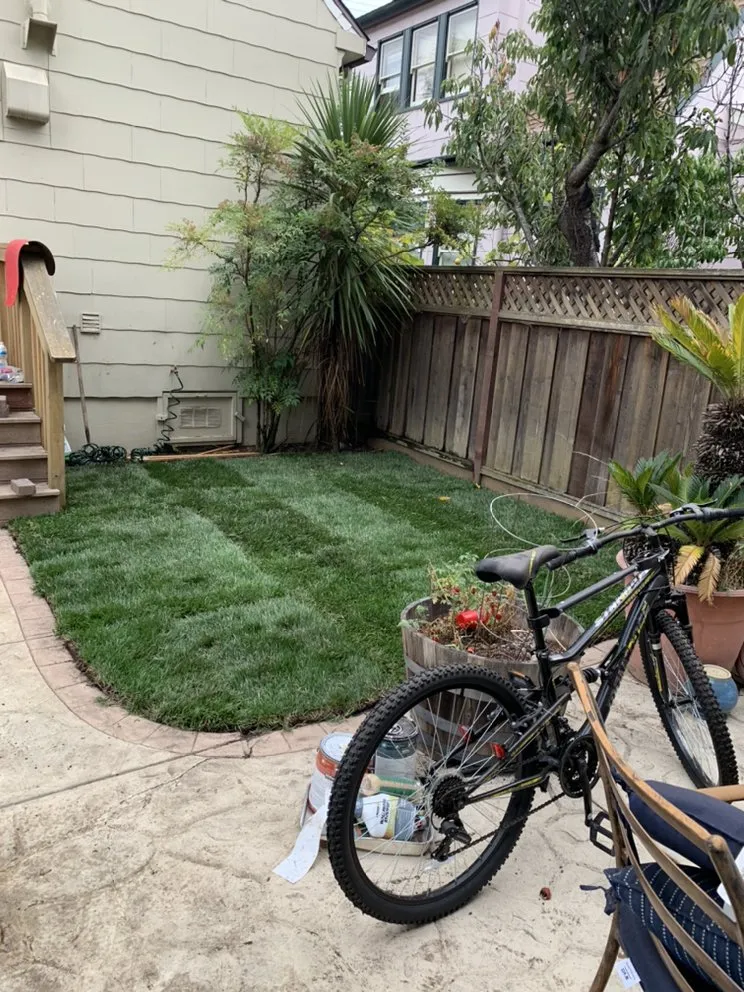 Custom landscape design in San Mateo, CA - Martin Medina Landscaping and Gardening Services