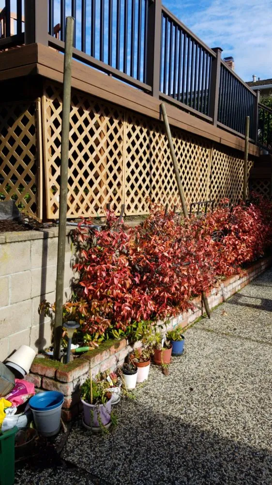 Top-rated residential landscaping experts serving San Mateo, CA - Martin Medina Landscaping and Gardening Services