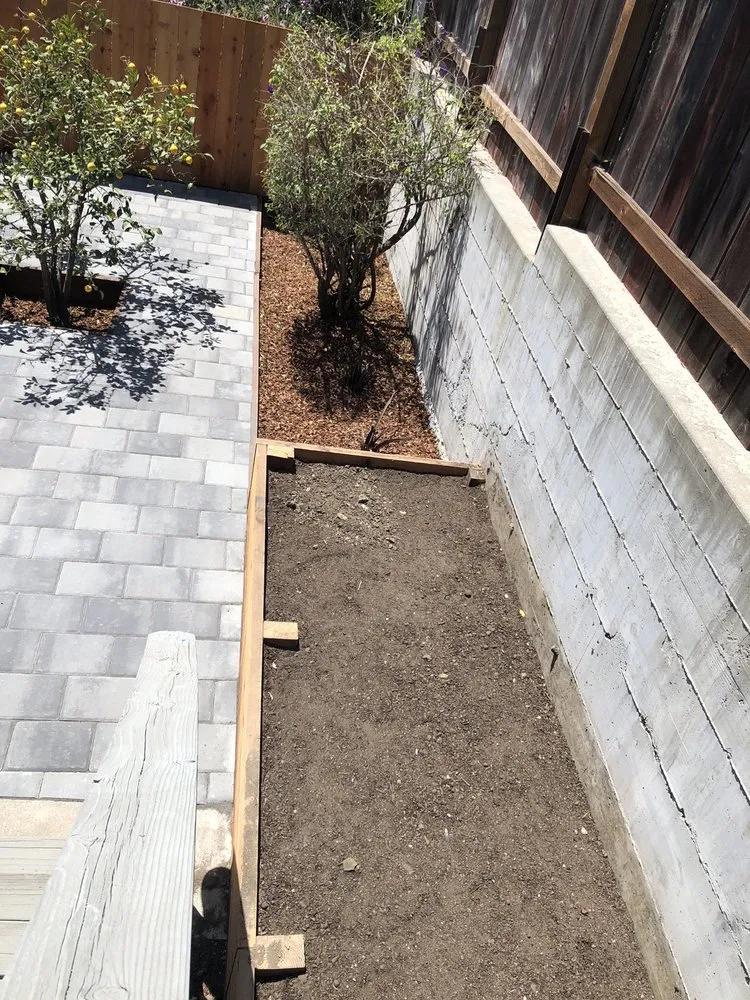 Local yard cleanup service for homes in San Mateo, CA by Martin Medina Landscaping and Gardening Services