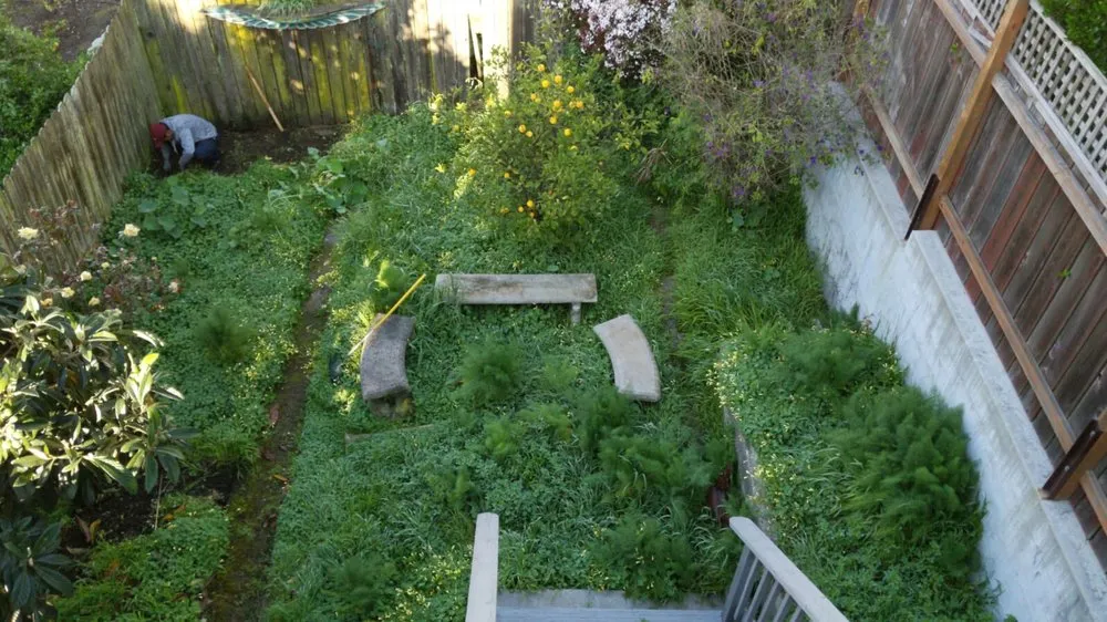 Custom landscaping services for homes across San Mateo, CA - Martin Medina Landscaping and Gardening Services