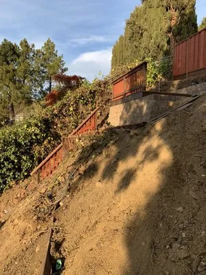 Martin Medina Landscaping and Gardening Services Logo