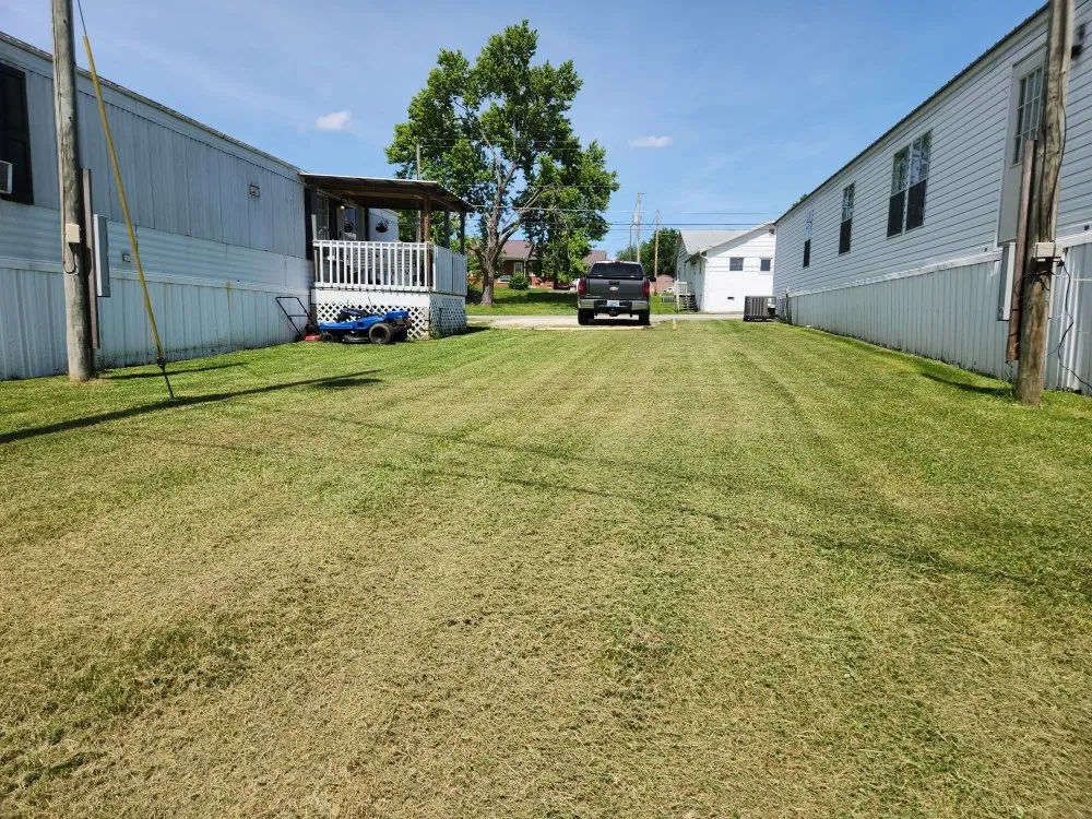 Professional yard maintenance experts serving Louisa, KY - Martin Mowing