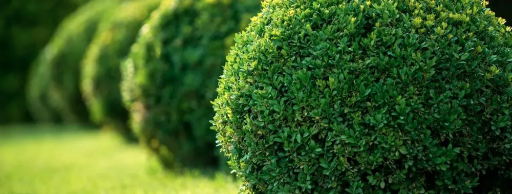 Expert garden landscaping in Gainesville, GA by Martin Outdoor Restoration Enterprise