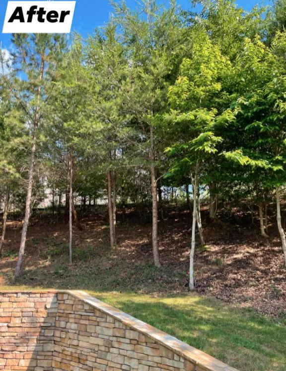 Professional lawn care service in Gainesville, GA by Martin Outdoor Restoration Enterprise