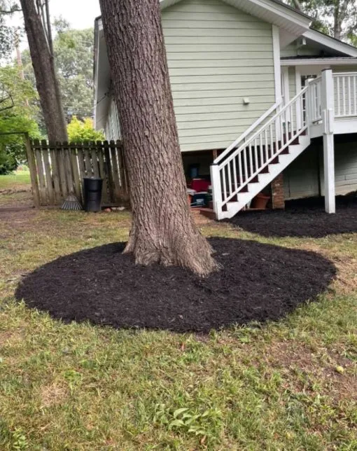 Professional lawn mowing service for beautiful yards across Gainesville, GA - Martin Outdoor Restoration Enterprise