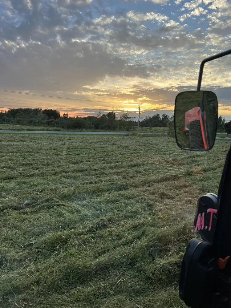 Local yard cleanup service in Levant, ME by Martin Property Maintenance