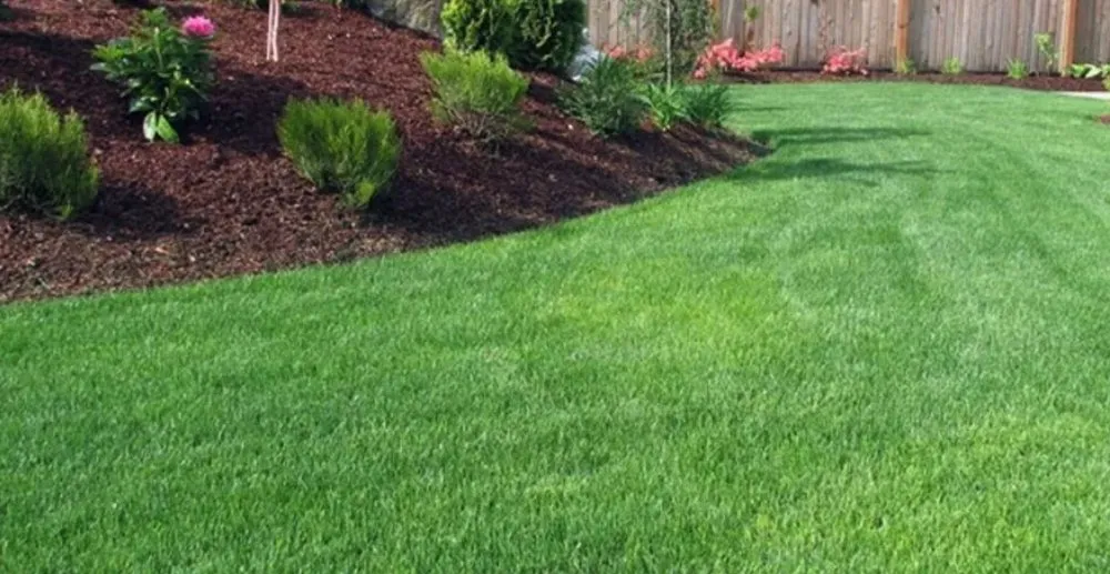 Reliable yard cleanup service for residential properties in Gainesville, GA by Martin Reliable Services