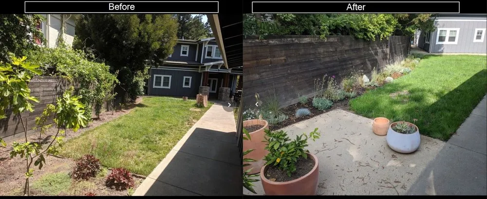 Custom landscape design in Sonoma, CA by Martin Reyes Landscaping