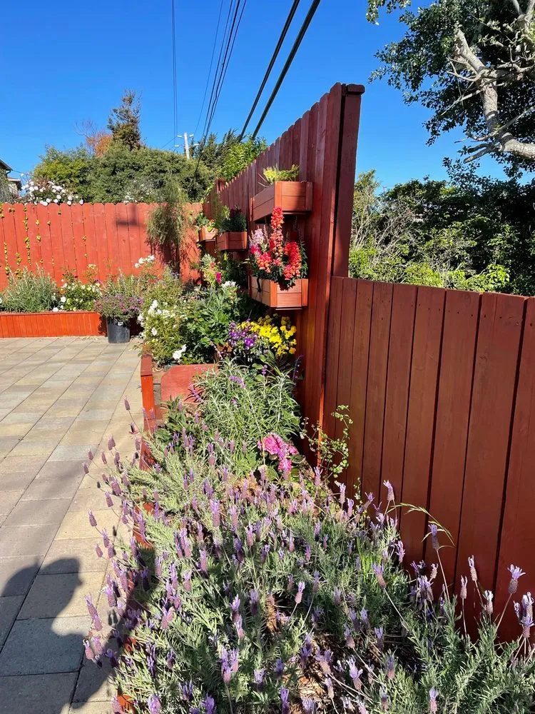 Affordable lawn mowing service for homes across Sonoma, CA - Martin Reyes Landscaping