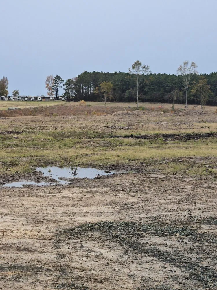 Professional residential landscaping in Many, LA - Martin Services