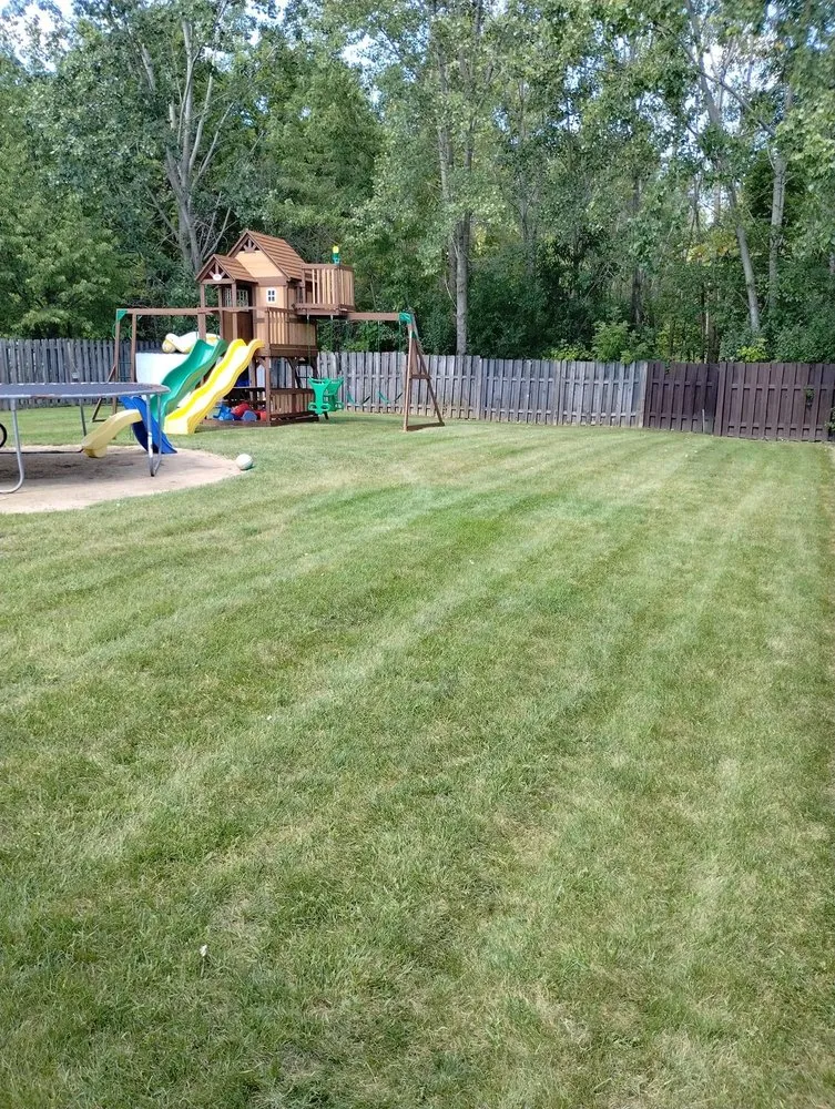 Reliable yard cleanup service for beautiful yards across Racine, WI - Martin Sons Lawn