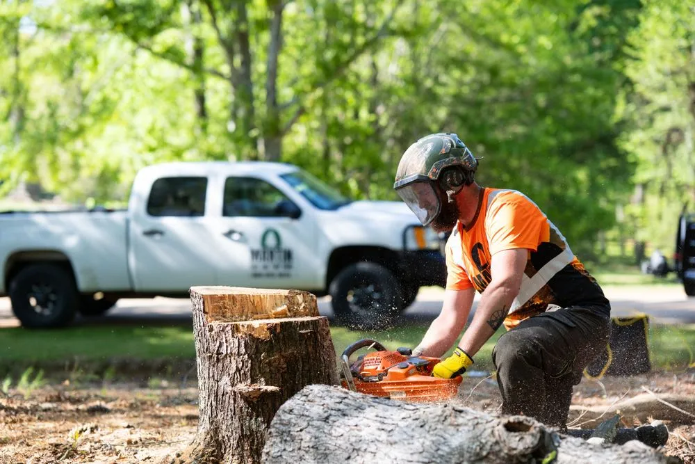 Professional garden landscaping near you in Greer, SC by Martin Tree and Turf Care
