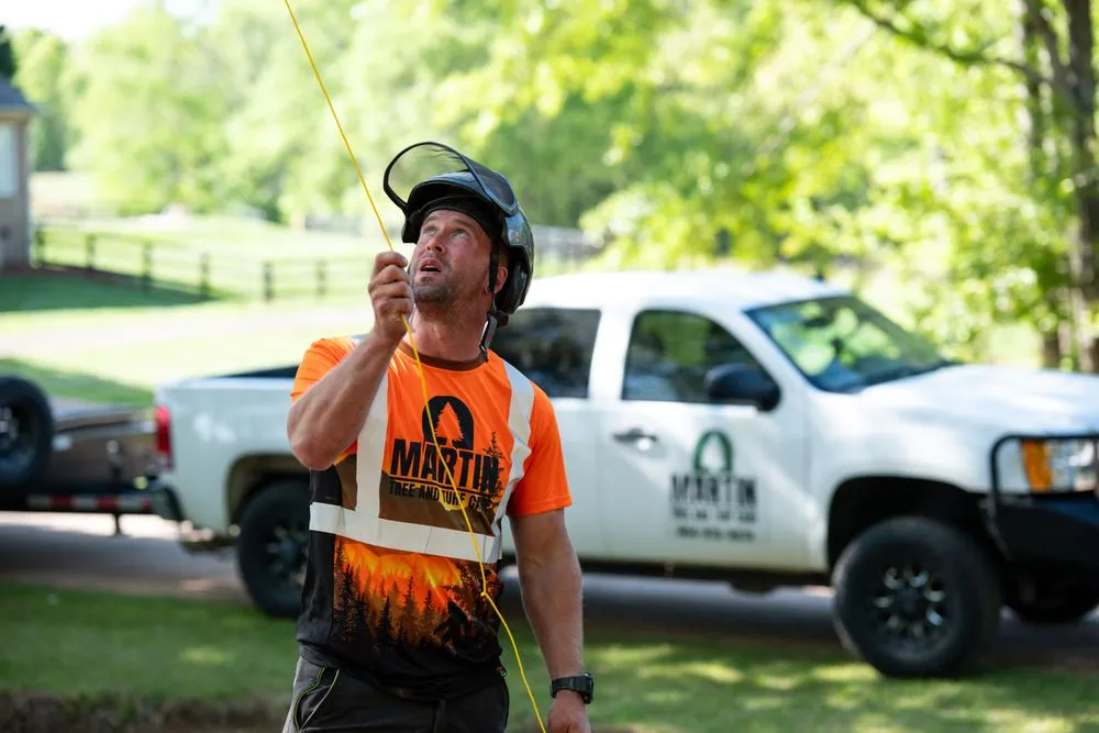 Custom yard cleanup service experts serving Greer, SC - Martin Tree and Turf Care