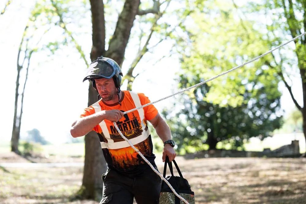 Local yard cleanup service in Greer, SC by Martin Tree and Turf Care