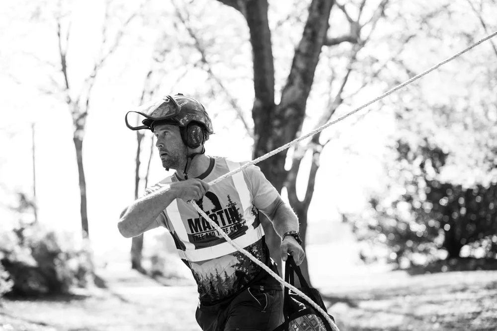 Reliable yard cleanup service in Greer, SC by Martin Tree and Turf Care