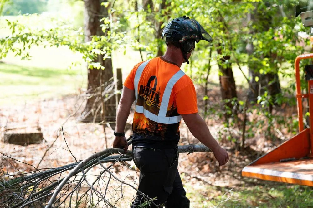 Expert landscape installation in Greer, SC by Martin Tree and Turf Care