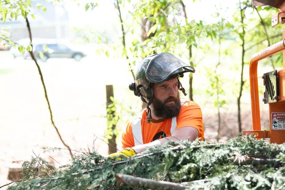 Top-rated yard maintenance for outdoor upgrades in Greer, SC by Martin Tree and Turf Care