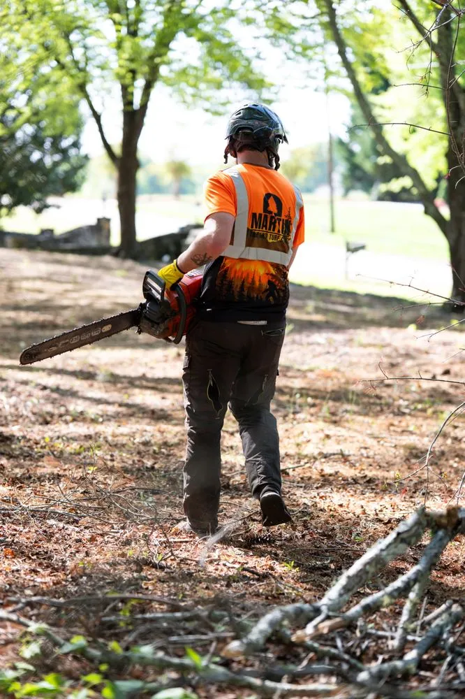 Professional lawn care service experts serving Greer, SC - Martin Tree and Turf Care