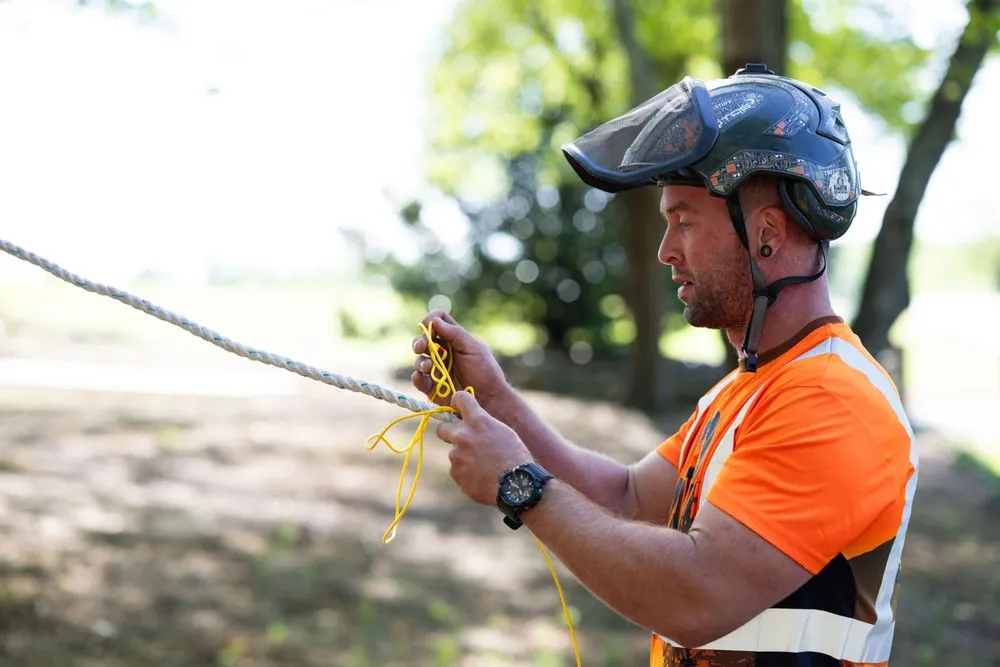 Affordable landscaping services experts serving Greer, SC - Martin Tree and Turf Care