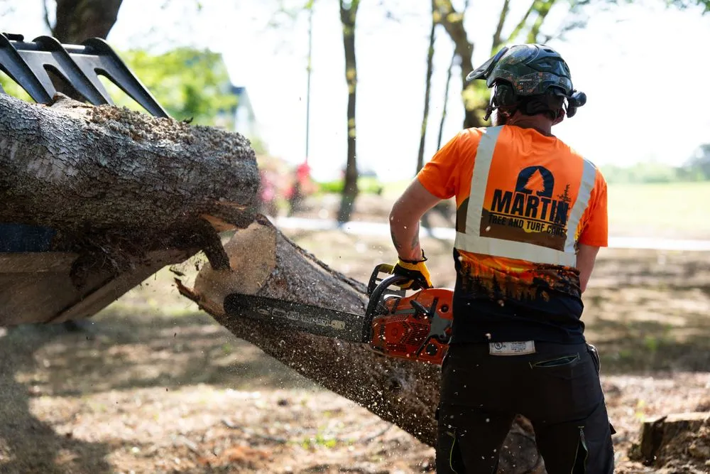 Expert garden landscaping in Greer, SC - Martin Tree and Turf Care