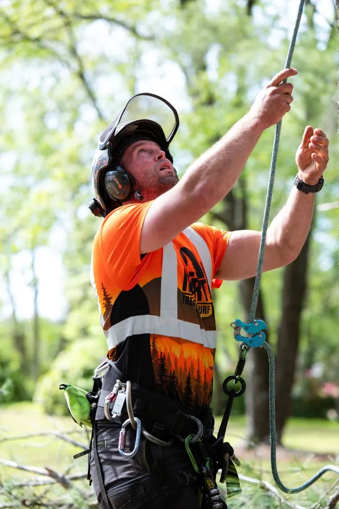 Affordable lawn care service for year-round maintenance in Greer, SC by Martin Tree and Turf Care