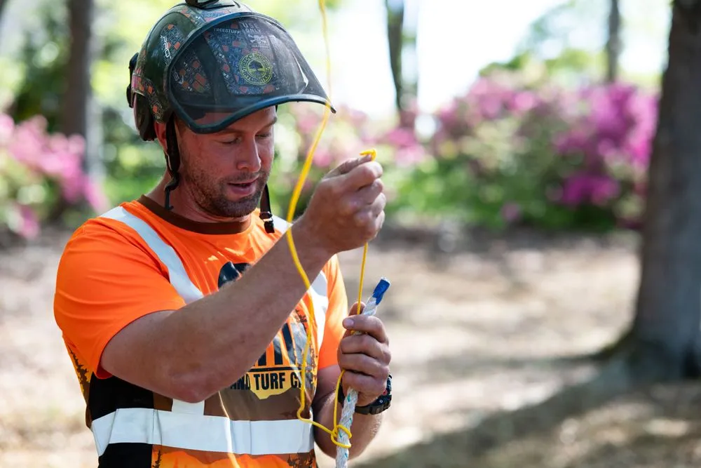 Reliable lawn mowing service in Greer, SC by Martin Tree and Turf Care