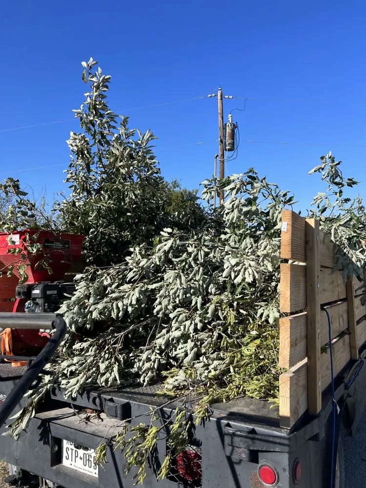 Professional yard cleanup service experts serving Gainesville, TX - Martindale Land Management