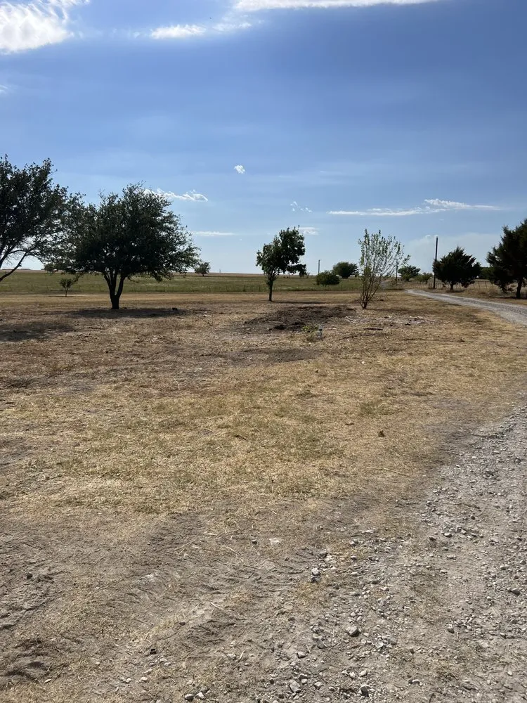 Professional outdoor landscaping with custom design in Gainesville, TX by Martindale Land Management