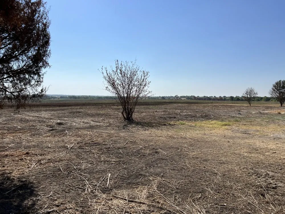 Affordable outdoor landscaping for residential properties in Gainesville, TX by Martindale Land Management