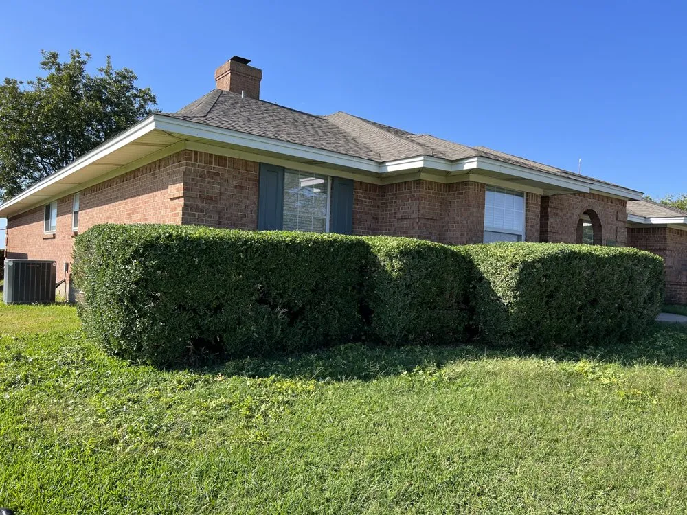 Custom landscaping services for year-round maintenance in Gainesville, TX by Martindale Land Management