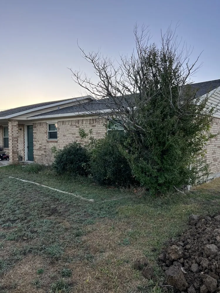 Professional lawn mowing service in Gainesville, TX by Martindale Land Management