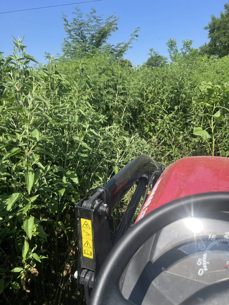 Top-rated garden landscaping in Gainesville, TX by Martindale Land Management