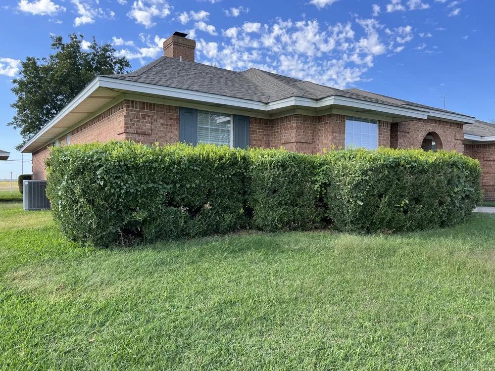 Trusted yard cleanup service experts serving Gainesville, TX - Martindale Land Management