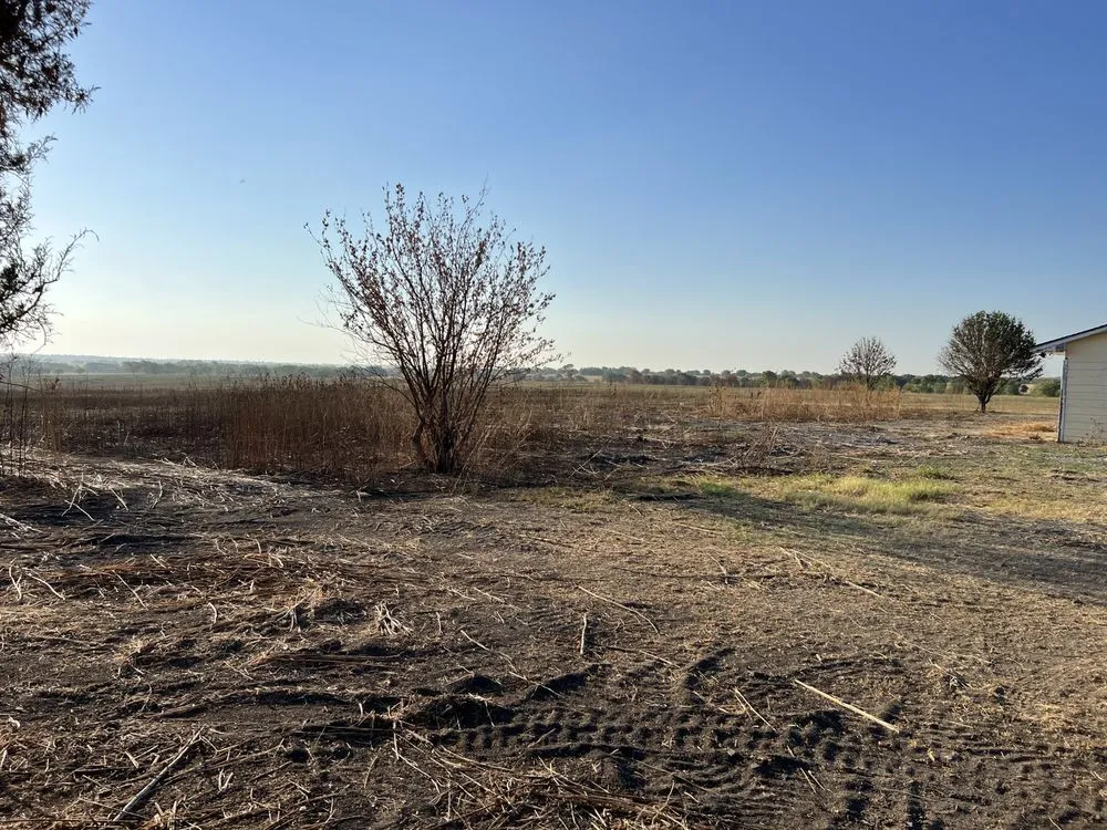 Professional residential landscaping experts serving Gainesville, TX - Martindale Land Management