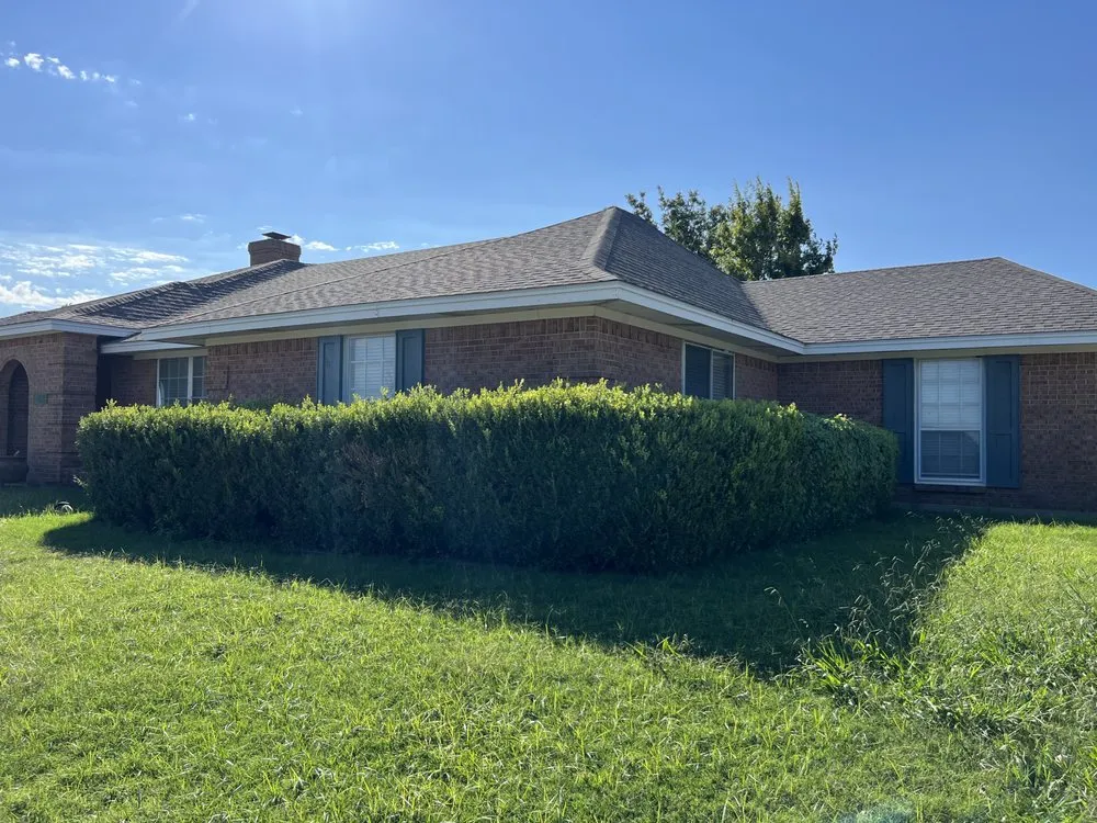 Reliable yard cleanup service experts serving Gainesville, TX - Martindale Land Management