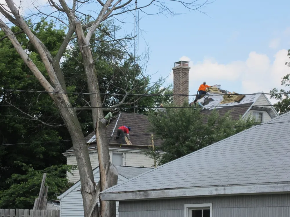 Trusted lawn care service in Hiawatha, IA - Martindale Pinnacle Construction