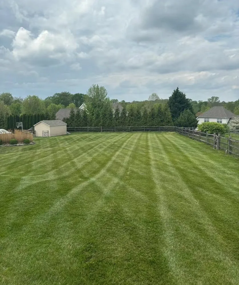 Expert yard cleanup service experts serving Rochester, NH - Martineau landscaping & Property Maintenance