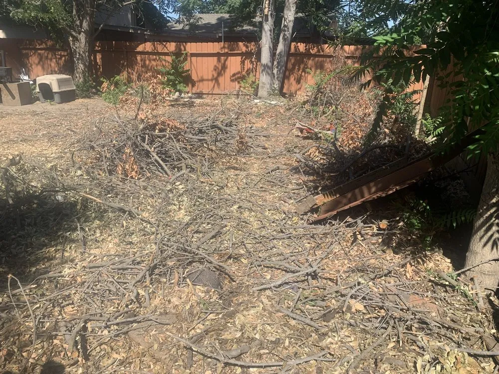 Expert residential landscaping for outdoor upgrades in Turlock, CA by Martines Gardening & Landscaping Services