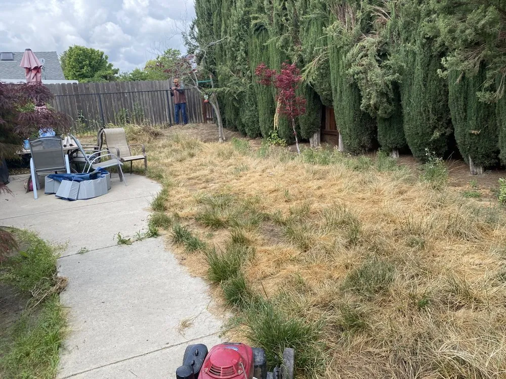 Affordable lawn mowing service for residential properties in Turlock, CA by Martines Gardening & Landscaping Services