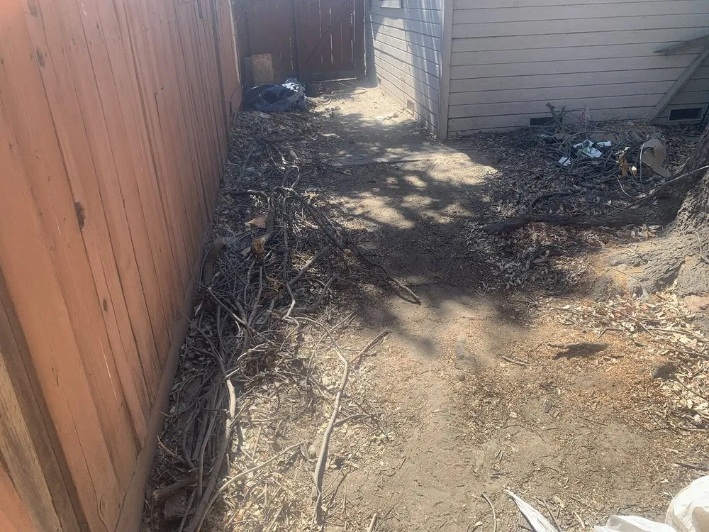 Affordable lawn mowing service near you in Turlock, CA by Martines Gardening & Landscaping Services