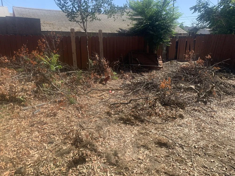 Reliable yard cleanup service in Turlock, CA by Martines Gardening & Landscaping Services