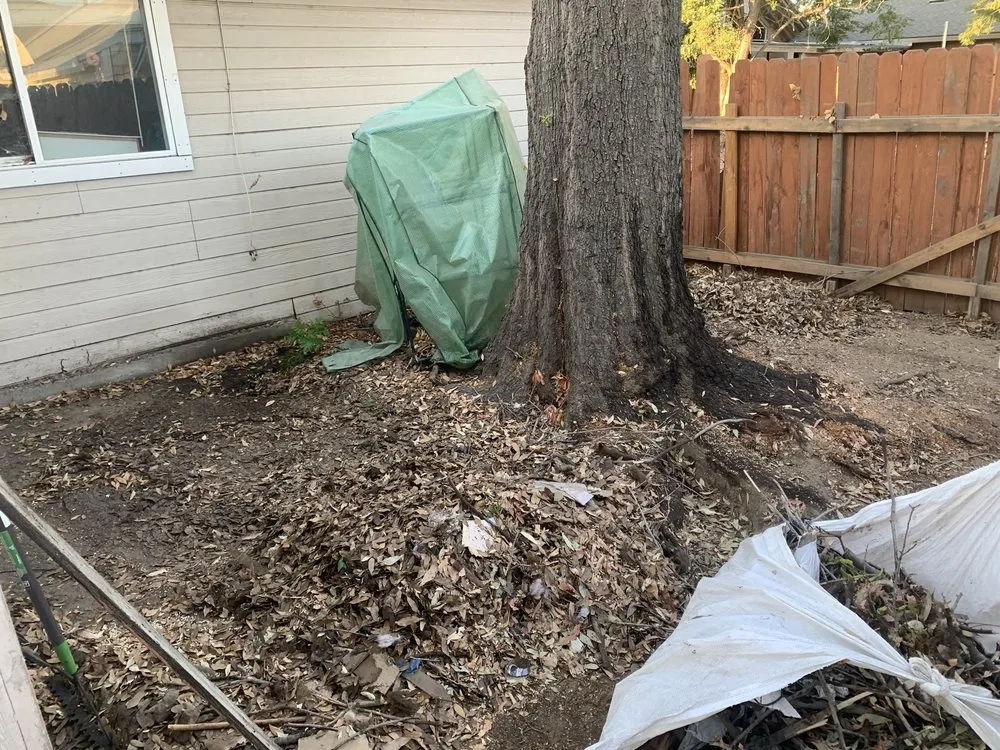 Trusted residential landscaping for outdoor upgrades in Turlock, CA by Martines Gardening & Landscaping Services